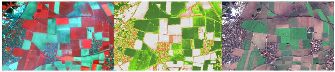 BeetScan (bundesweit) 2019