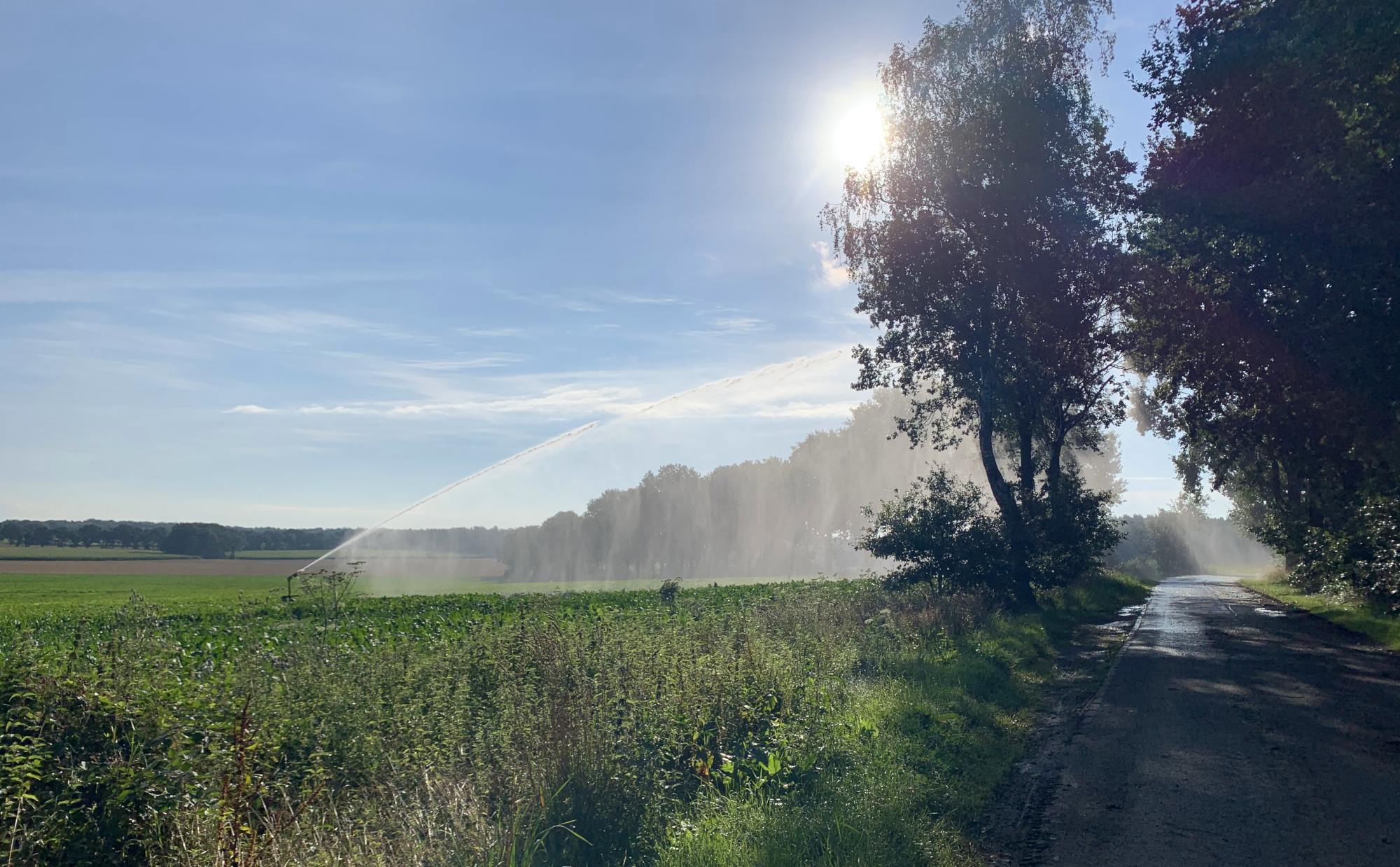 Wetterrückblick 2020
