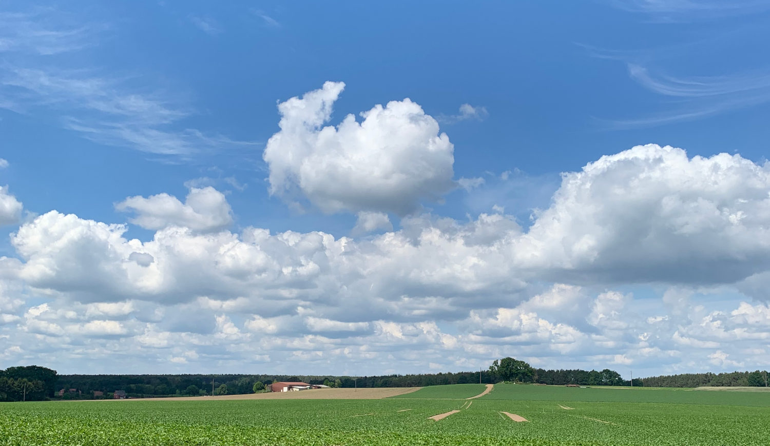 Wetterrückblick 2021