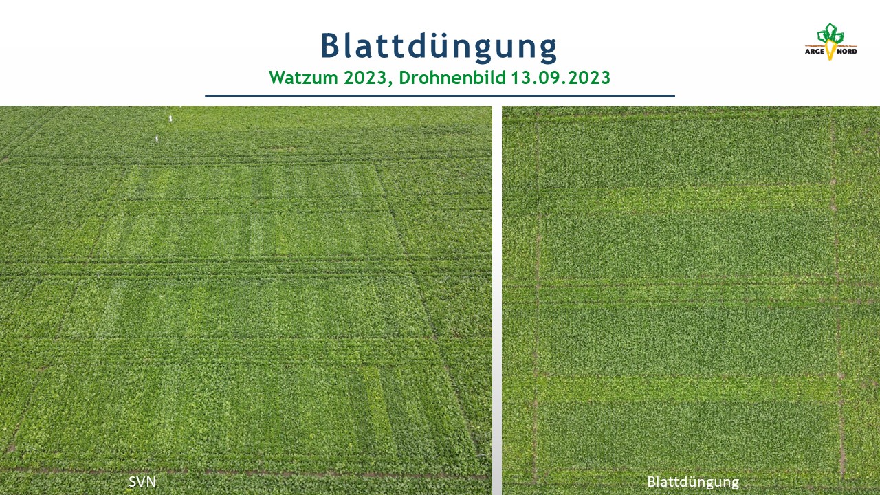 Mikronährstoffdüngung (Watzum) 2023